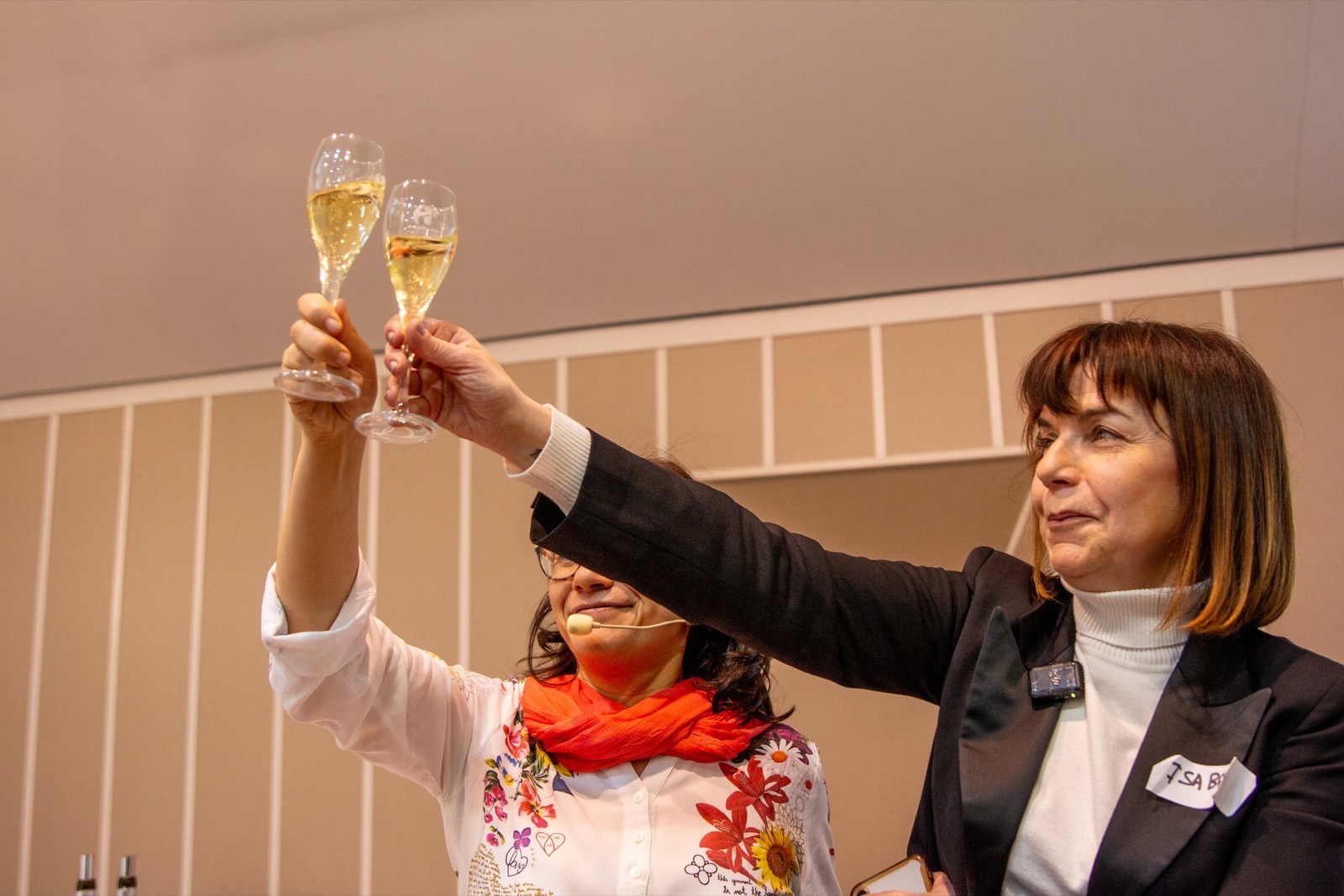 Mujeres brindando en un encuentro de BrindisMujer